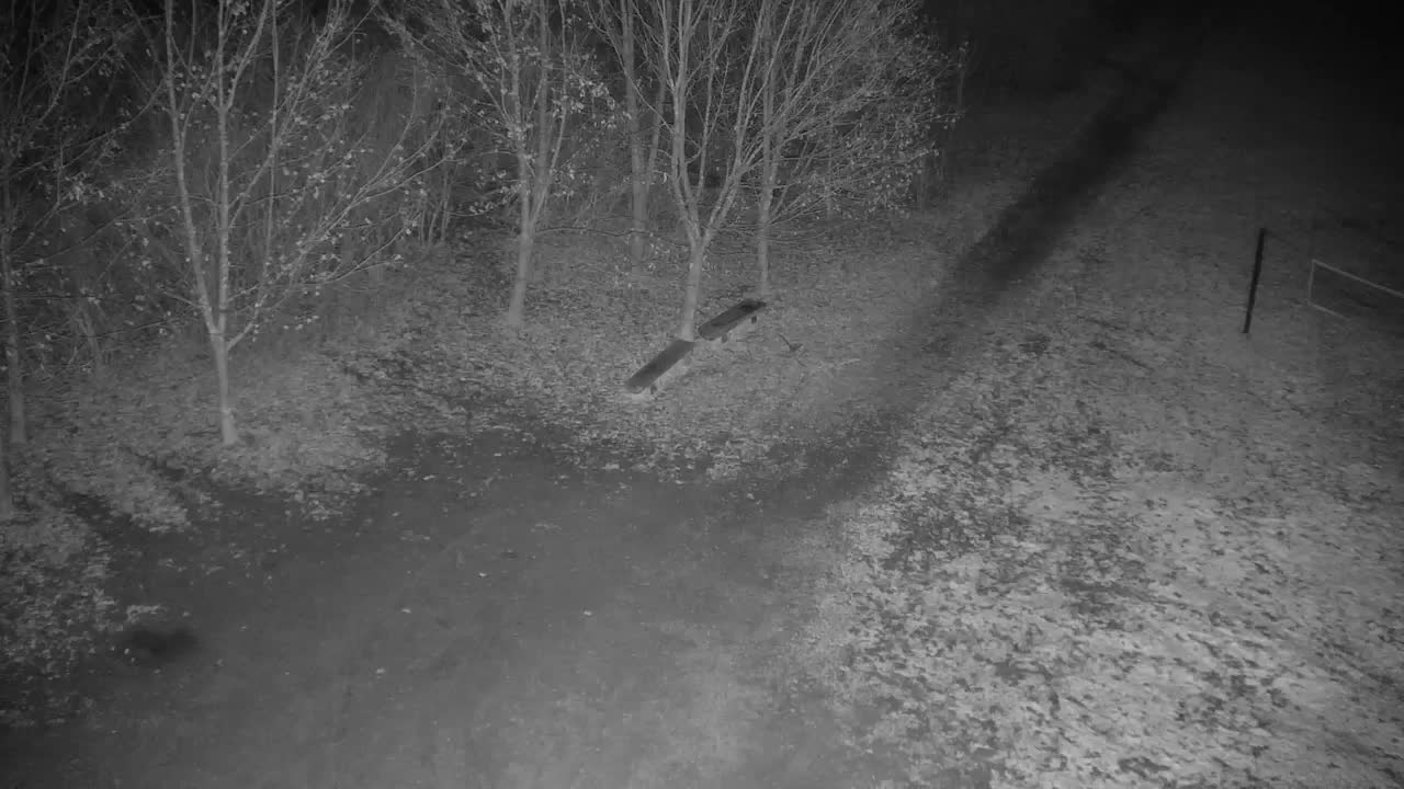 Webcam Ribnik Vrbje – Žalec