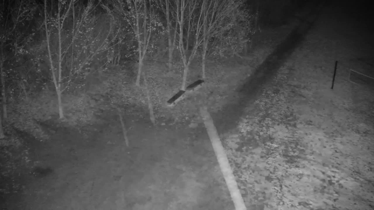 Webcam Ribnik Vrbje – Žalec