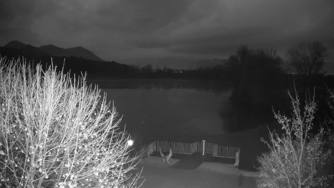 Webcam Ribnik Vrbje – Žalec