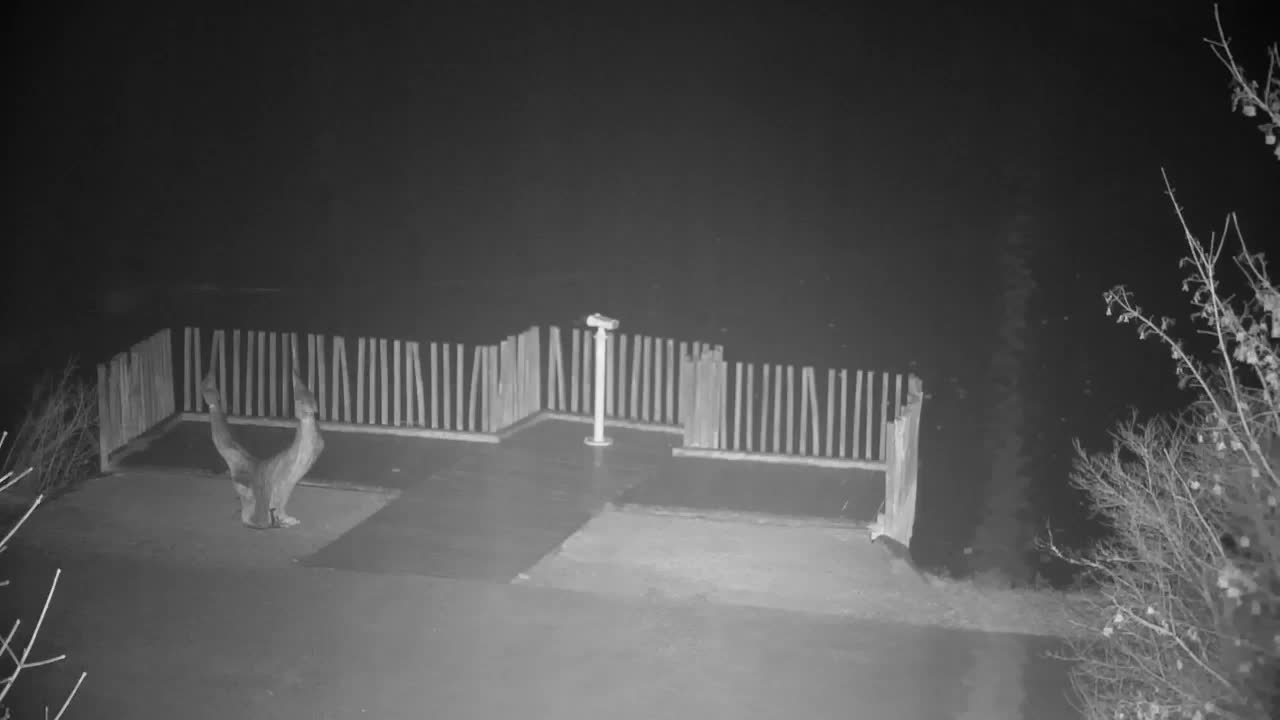 Webcam Ribnik Vrbje – Žalec