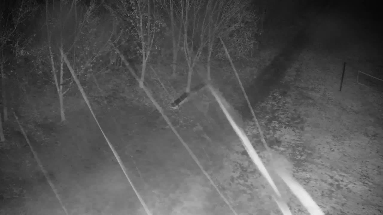 Web kamera Ribnik Vrbje – Žalec