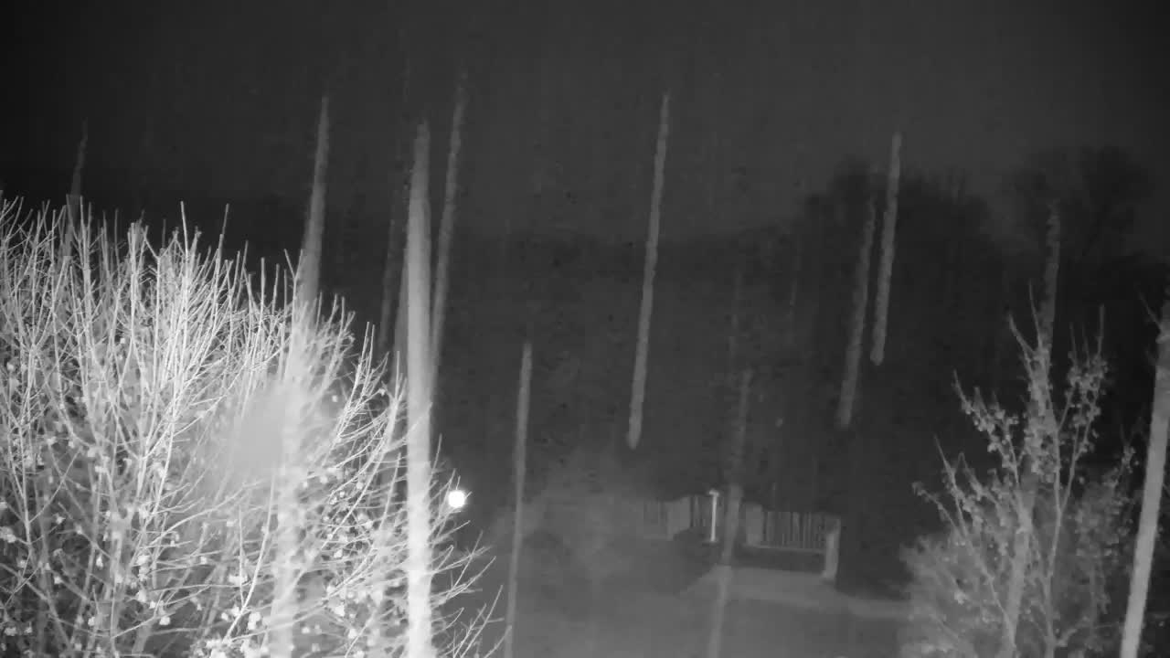 Webcam Ribnik Vrbje – Žalec