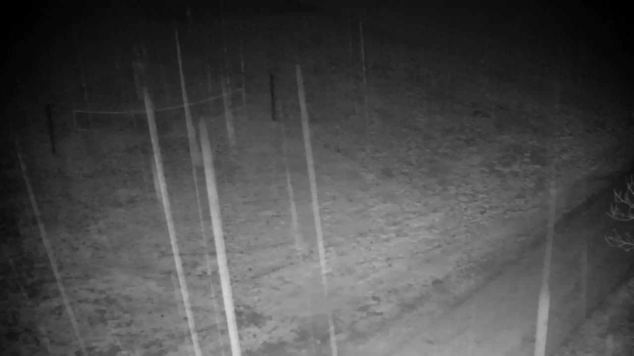 Webcam Ribnik Vrbje – Žalec