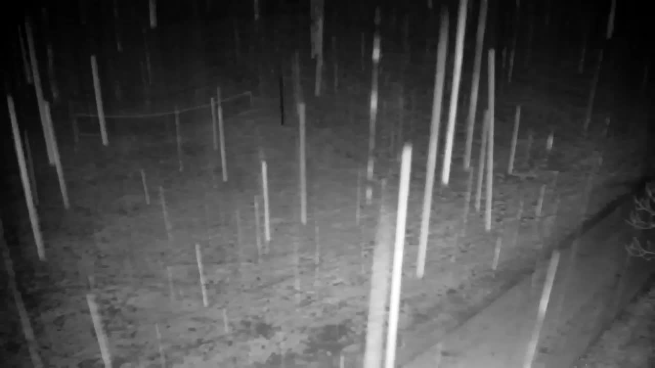 Webcam Ribnik Vrbje – Žalec