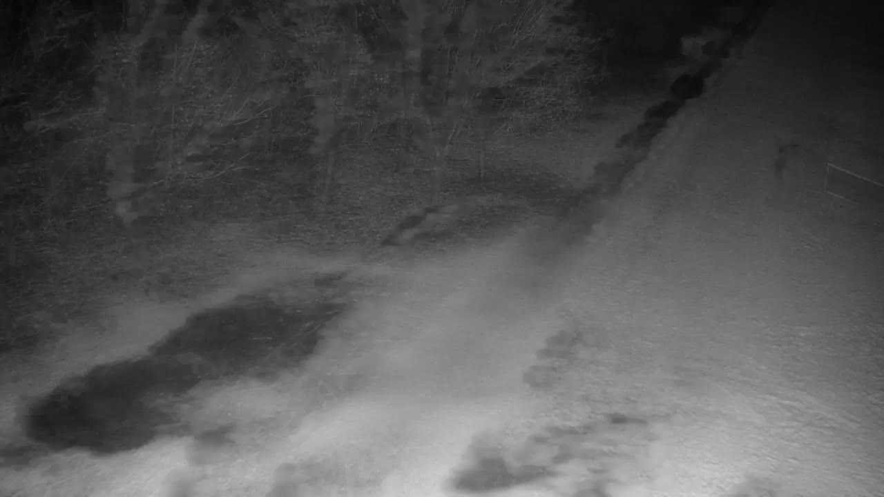 Web kamera Ribnik Vrbje – Žalec