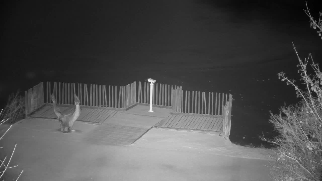 Spletna kamera Ribnik Vrbje – Žalec