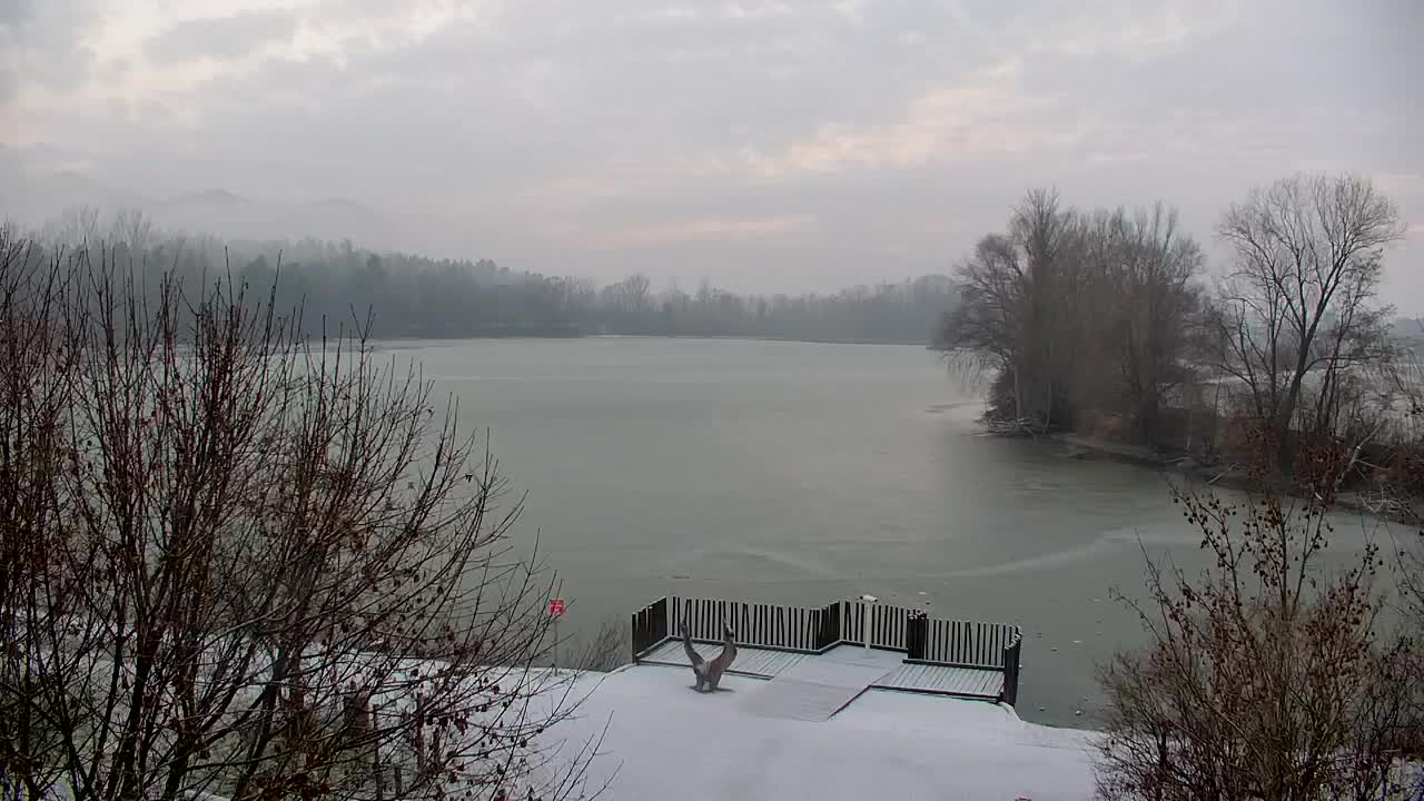 Webcam Ribnik Vrbje – Žalec