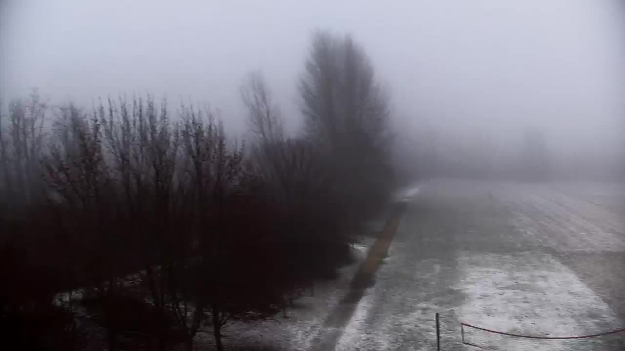 Spletna kamera Ribnik Vrbje – Žalec