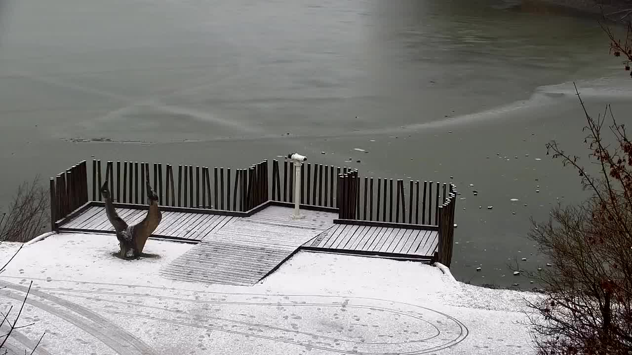 Web kamera Ribnik Vrbje – Žalec