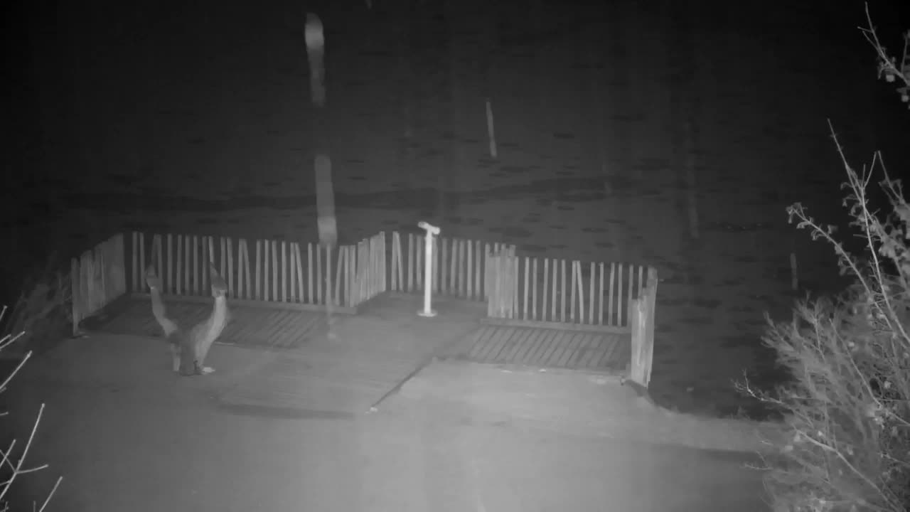 Webcam Ribnik Vrbje – Žalec