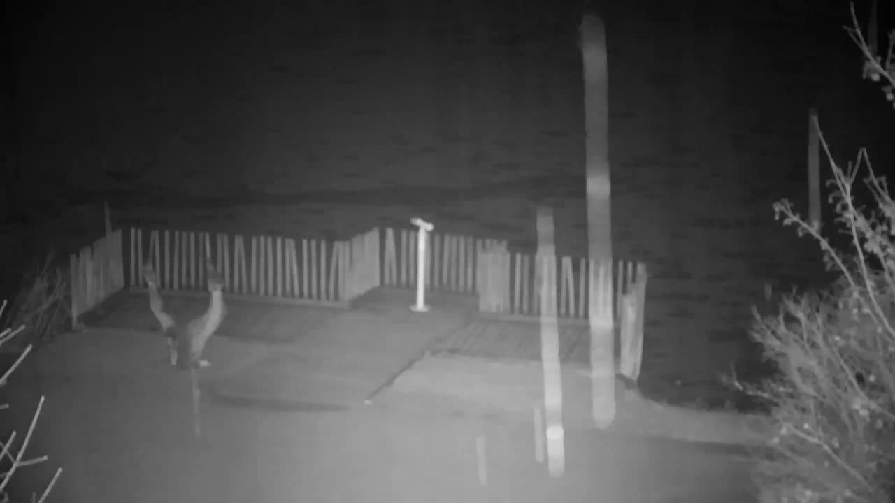 Spletna kamera Ribnik Vrbje – Žalec