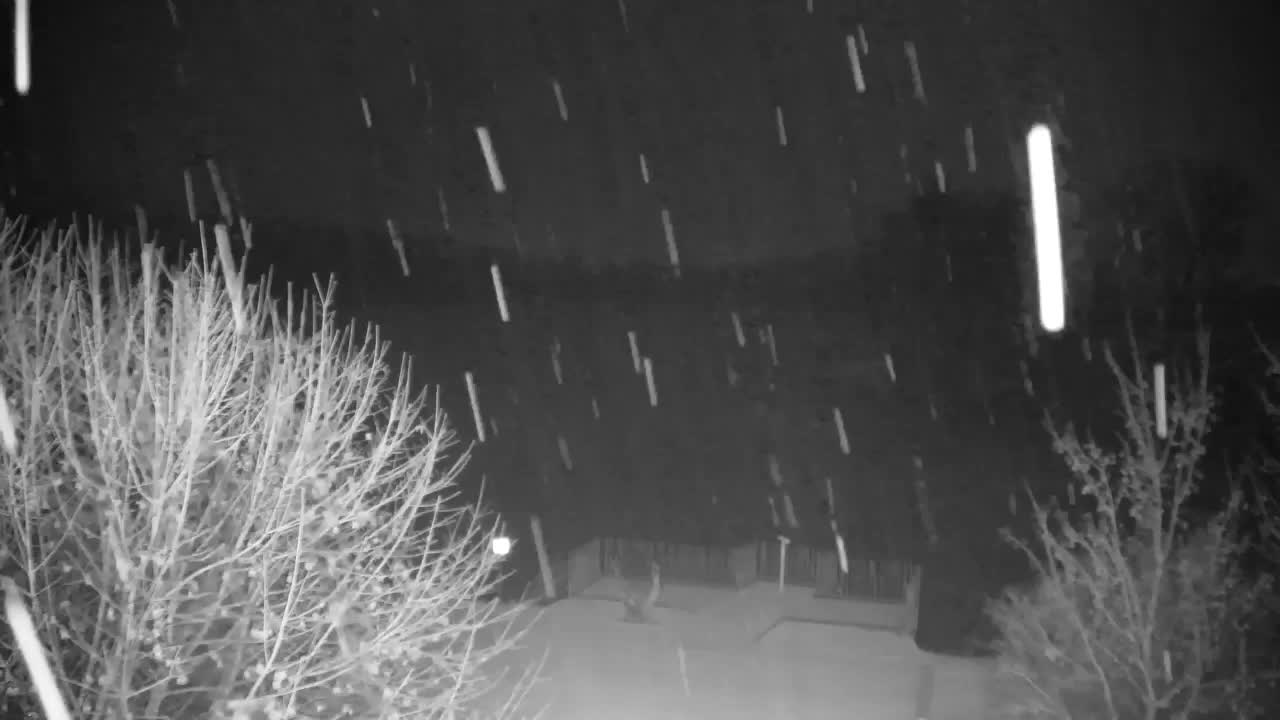 Spletna kamera Ribnik Vrbje – Žalec