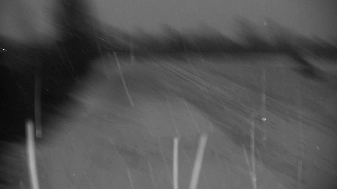 Webcam Ribnik Vrbje – Žalec