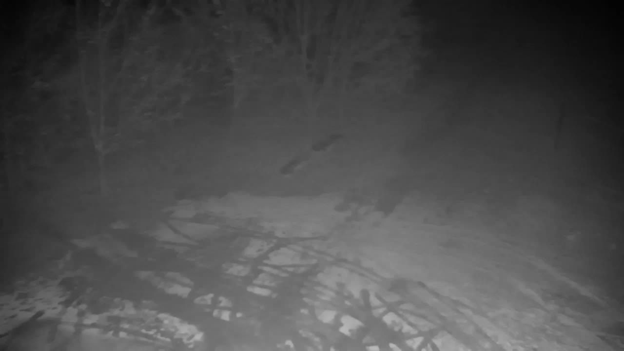 Webcam Ribnik Vrbje – Žalec