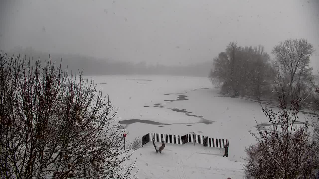 Webcam Ribnik Vrbje – Žalec