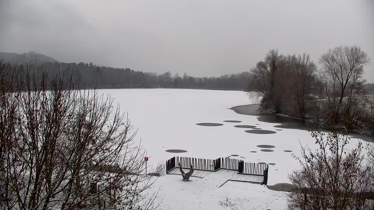 Webcam Ribnik Vrbje – Žalec