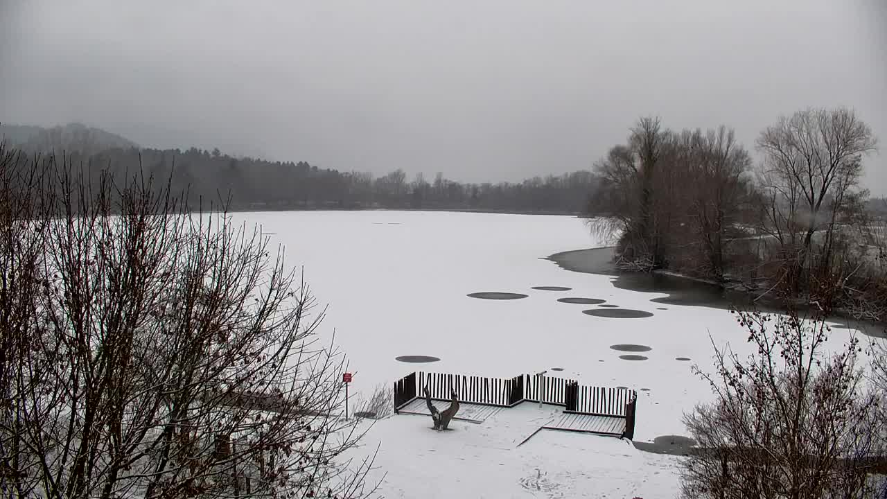 Webcam Ribnik Vrbje – Žalec