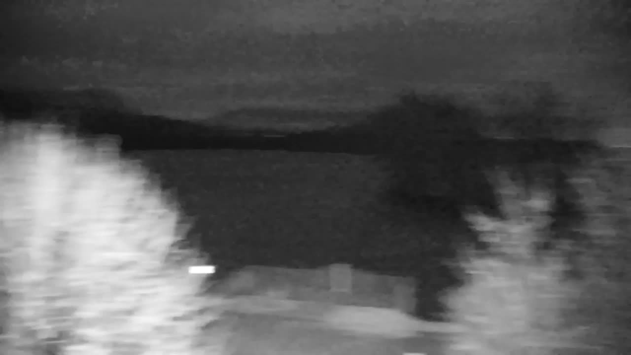 Web kamera Ribnik Vrbje – Žalec