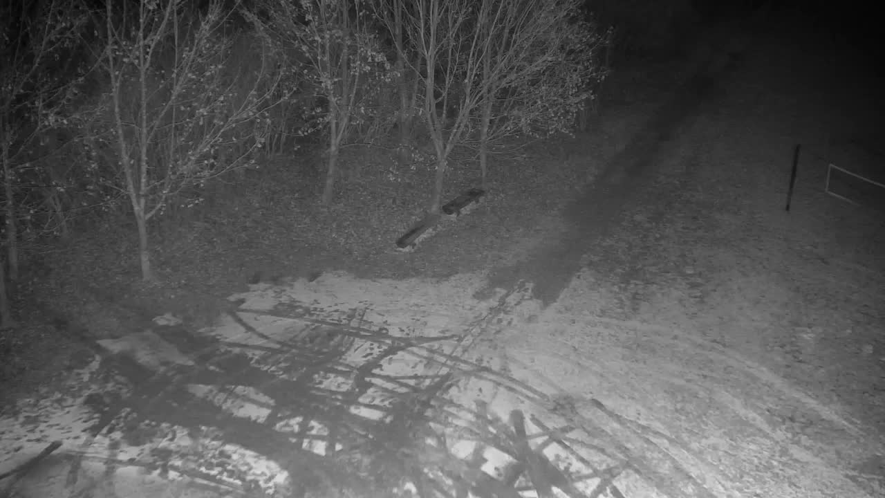 Webcam Ribnik Vrbje – Žalec