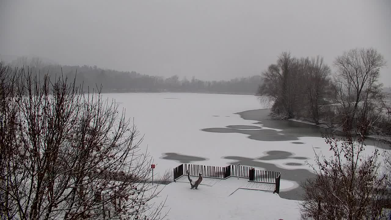 Webcam Ribnik Vrbje – Žalec