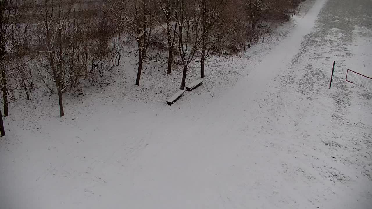 Webcam Ribnik Vrbje – Žalec