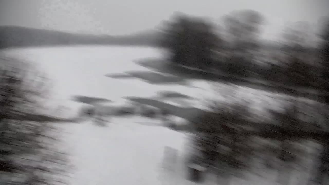 Webcam Ribnik Vrbje – Žalec