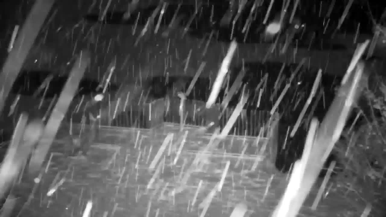 Spletna kamera Ribnik Vrbje – Žalec