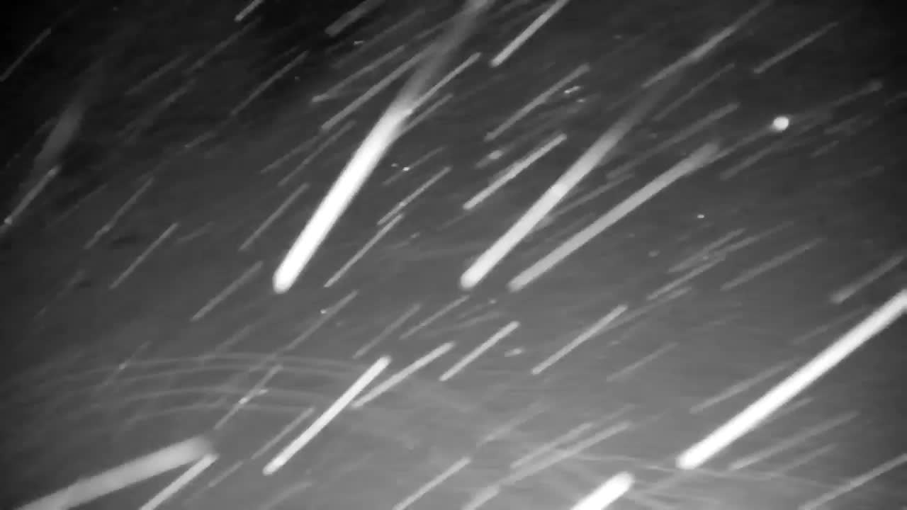 Web kamera Ribnik Vrbje – Žalec