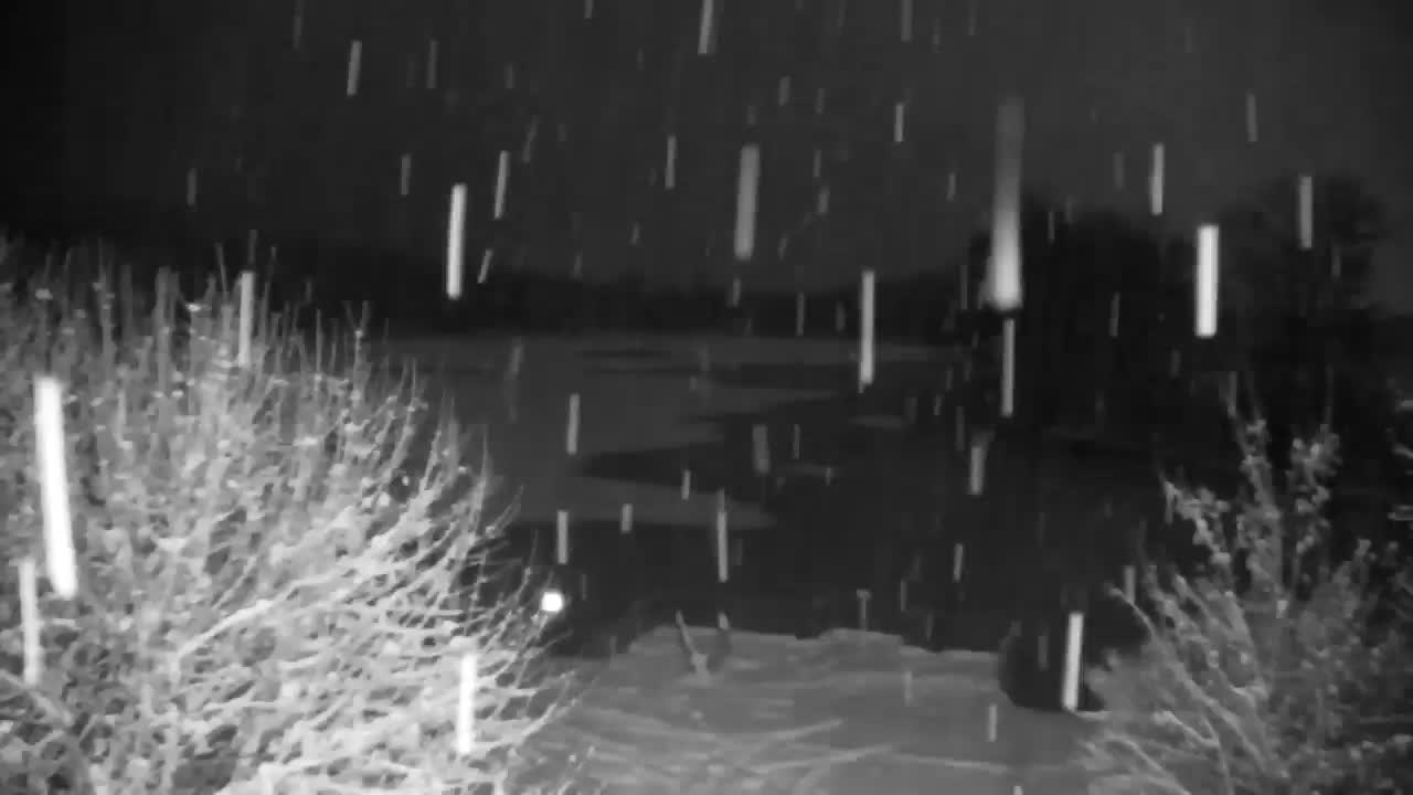 Web kamera Ribnik Vrbje – Žalec