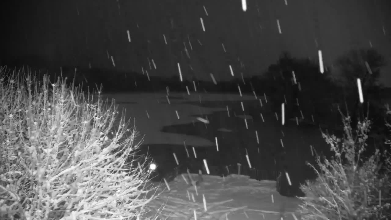 Web kamera Ribnik Vrbje – Žalec