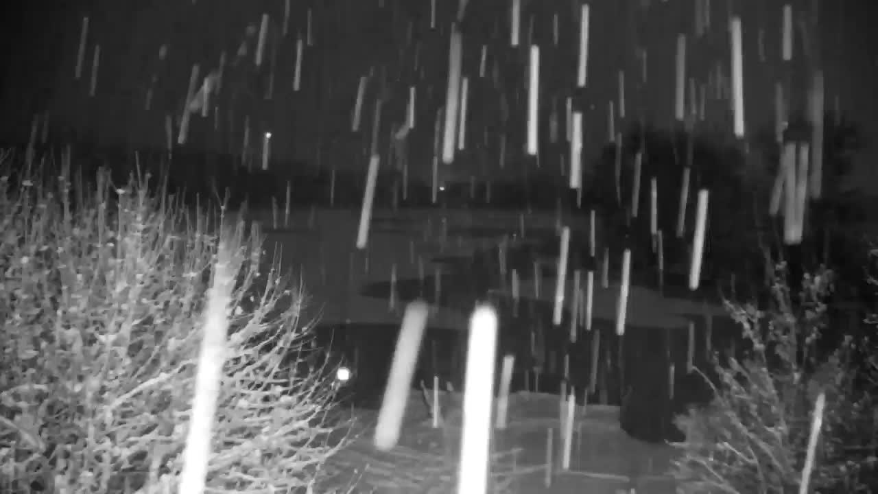 Webcam Ribnik Vrbje – Žalec