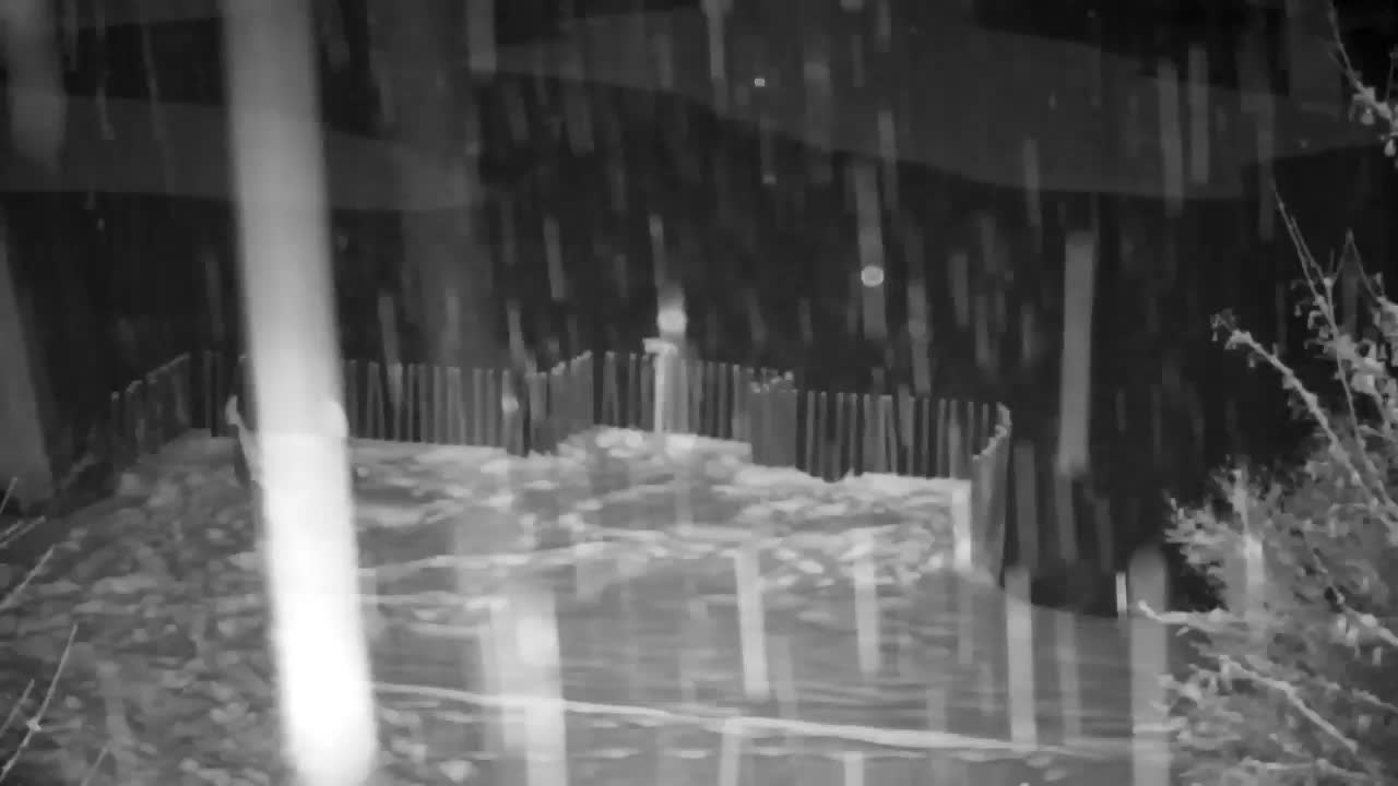 Spletna kamera Ribnik Vrbje – Žalec