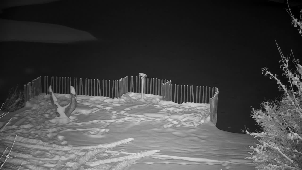 Webcam Ribnik Vrbje – Žalec