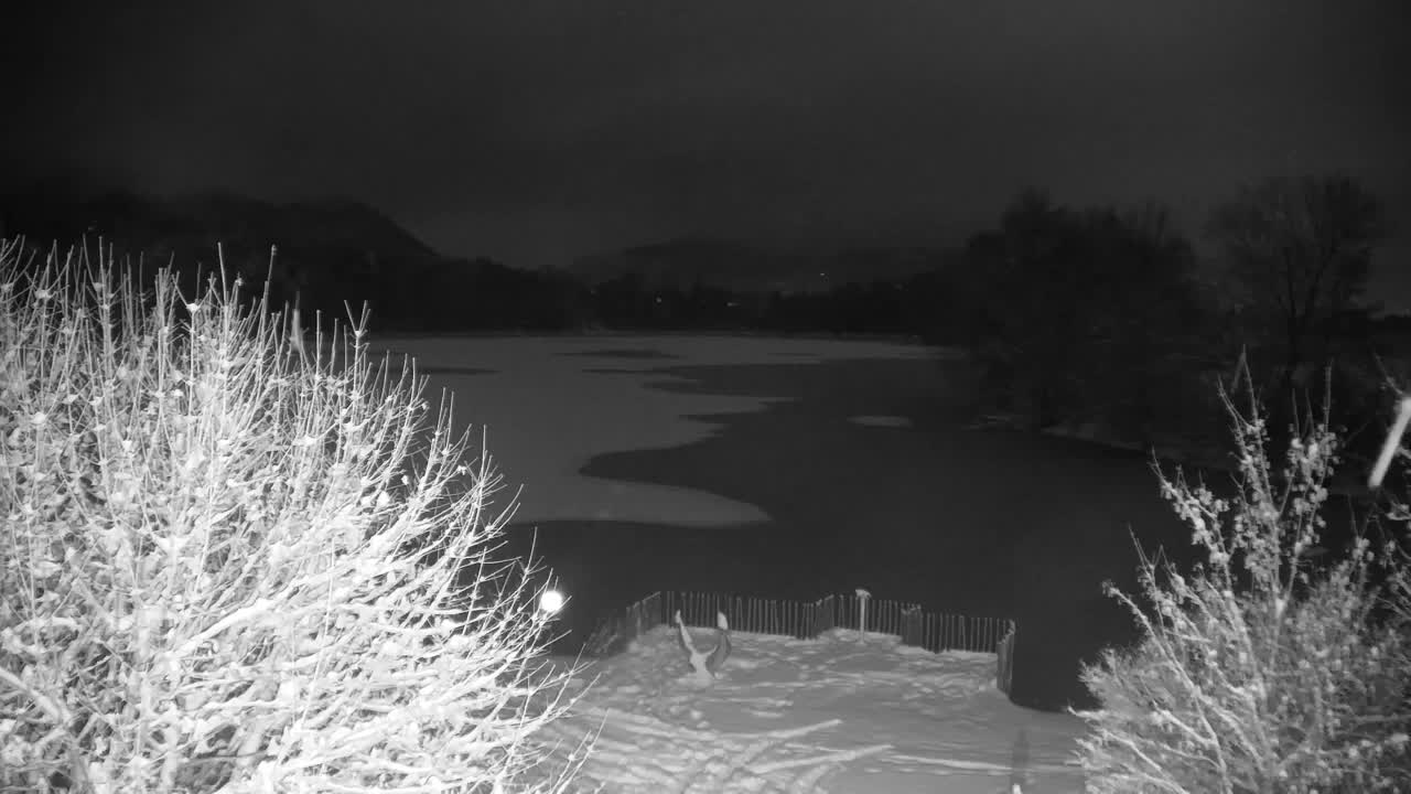 Web kamera Ribnik Vrbje – Žalec