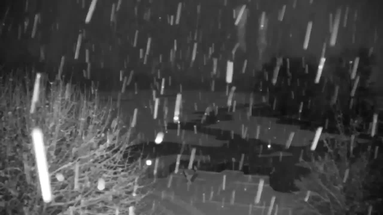 Webcam Ribnik Vrbje – Žalec