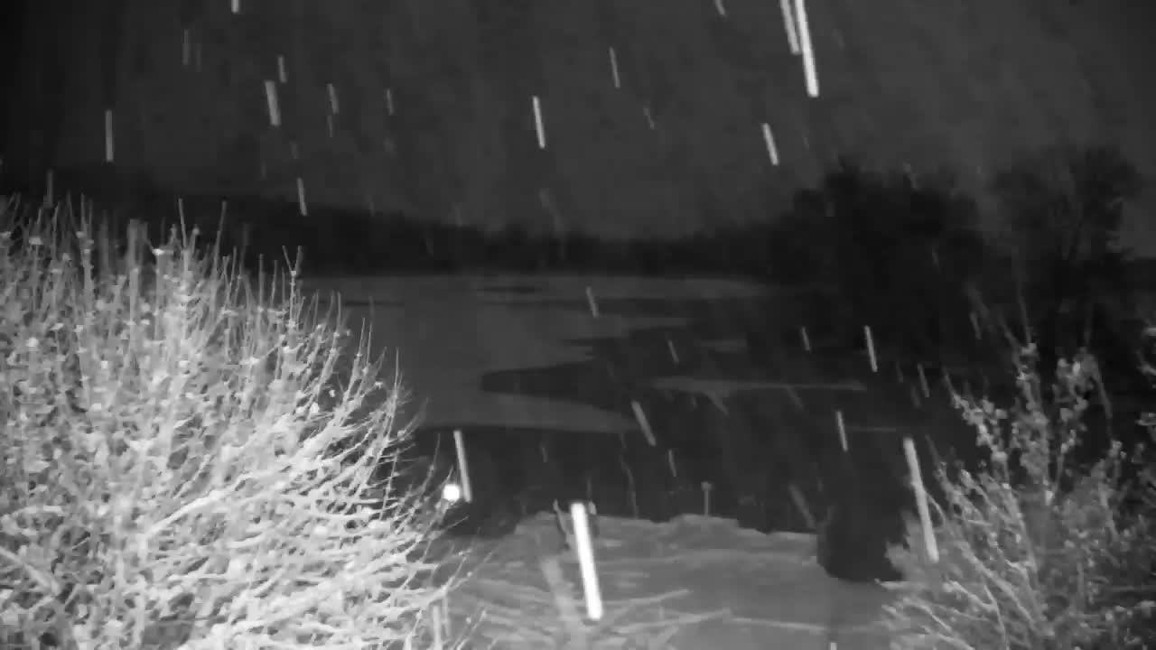 Spletna kamera Ribnik Vrbje – Žalec