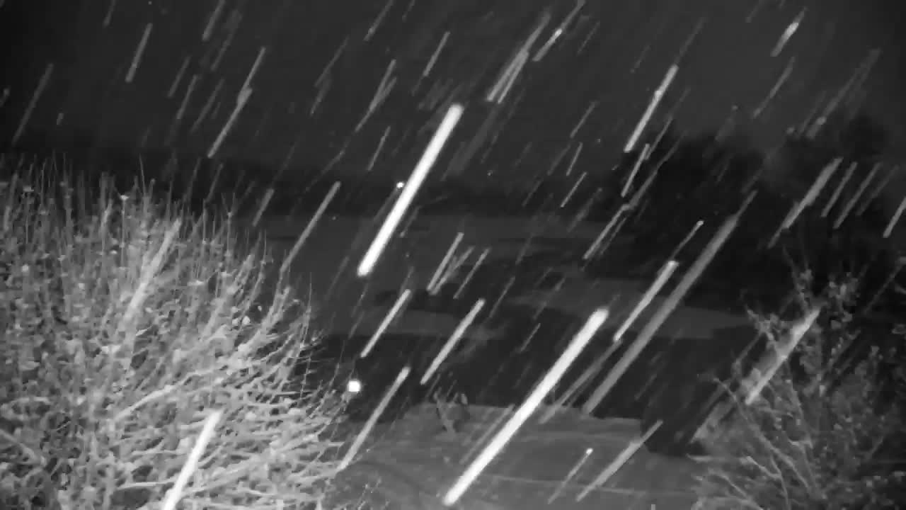 Spletna kamera Ribnik Vrbje – Žalec