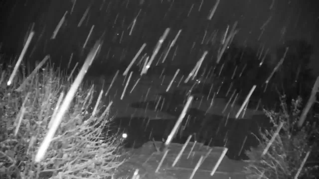 Spletna kamera Ribnik Vrbje – Žalec