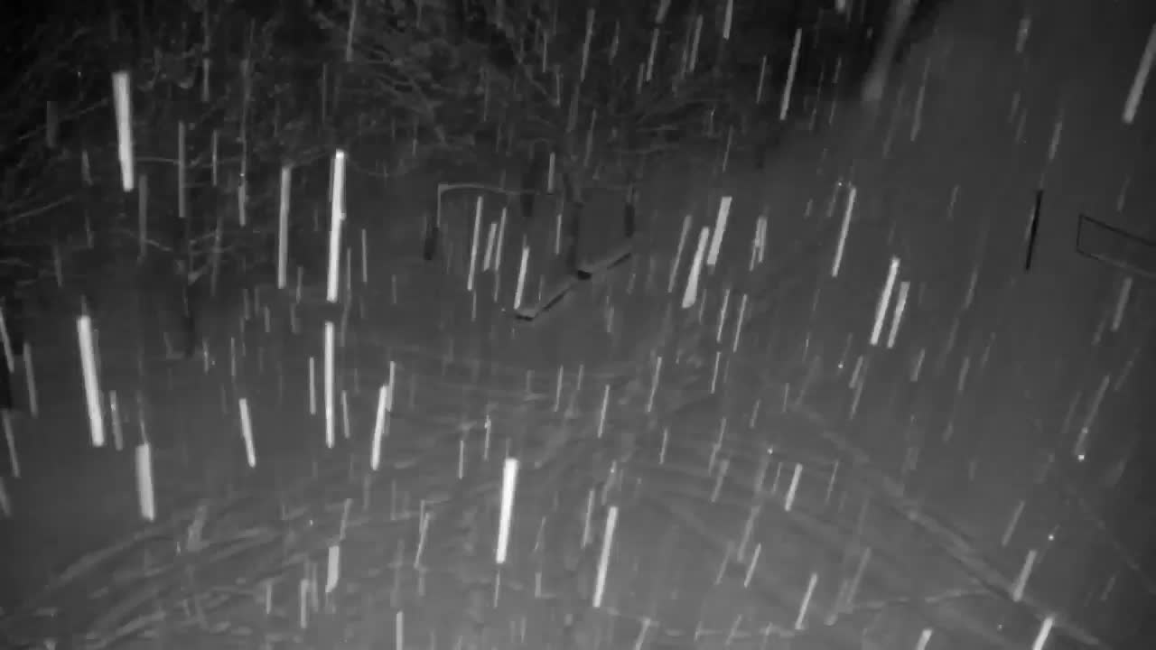 Spletna kamera Ribnik Vrbje – Žalec