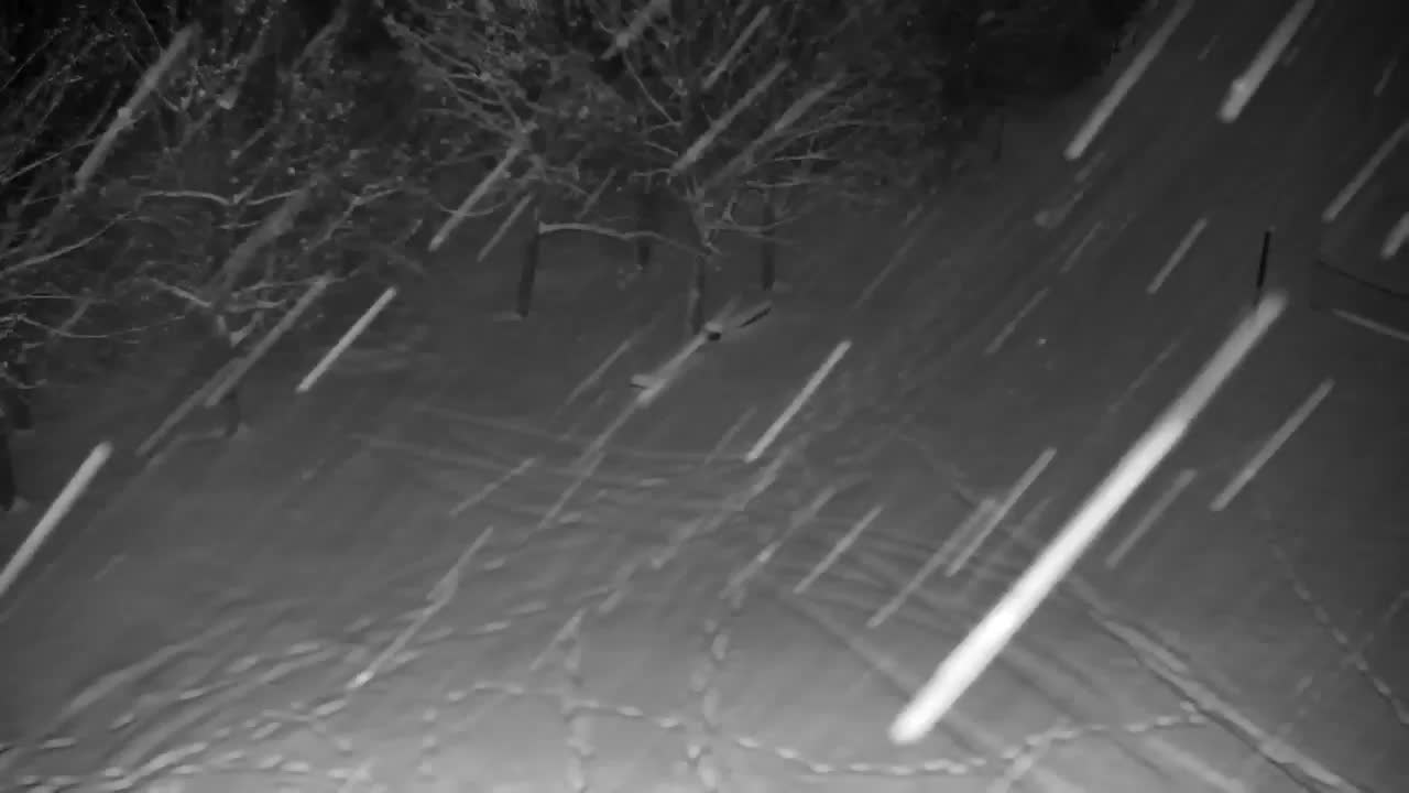 Spletna kamera Ribnik Vrbje – Žalec