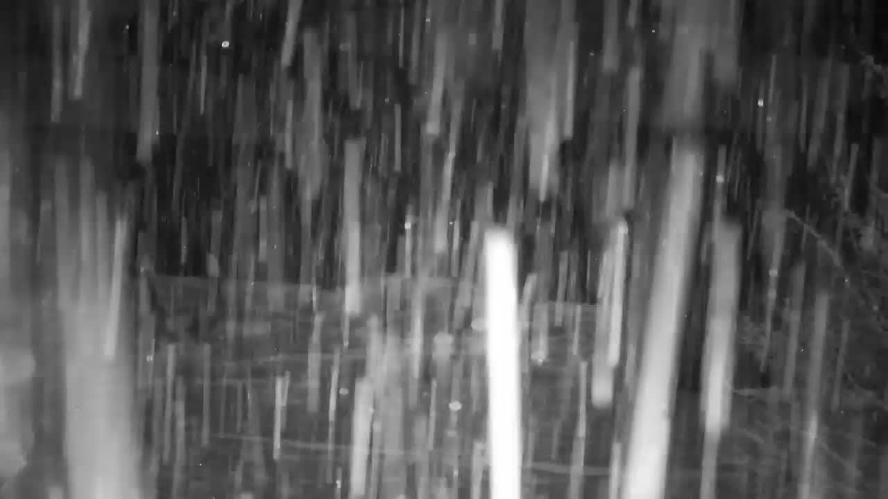 Webcam Ribnik Vrbje – Žalec