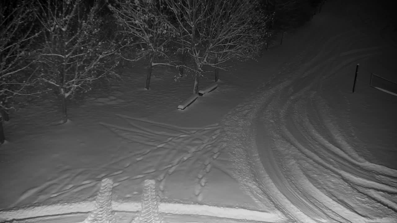 Webcam Ribnik Vrbje – Žalec