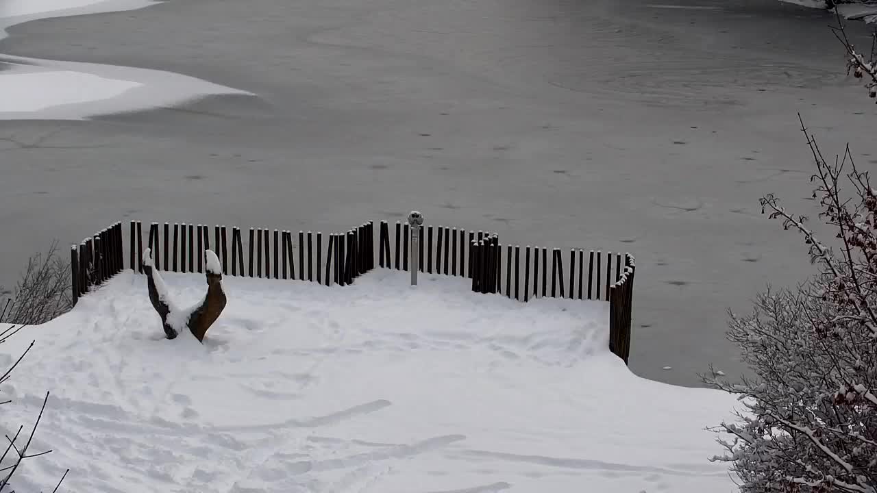 Webcam Ribnik Vrbje – Žalec