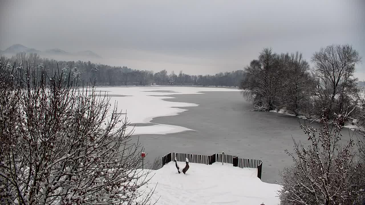 Webcam Ribnik Vrbje – Žalec
