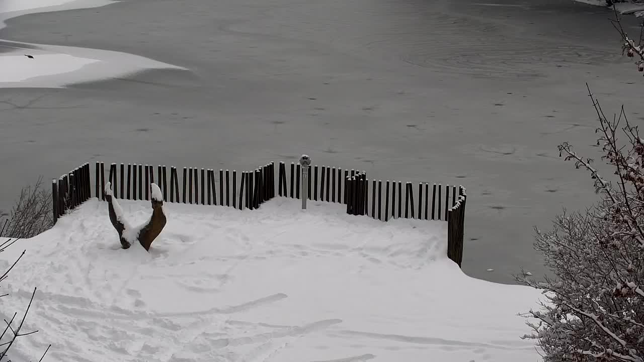 Webcam Ribnik Vrbje – Žalec