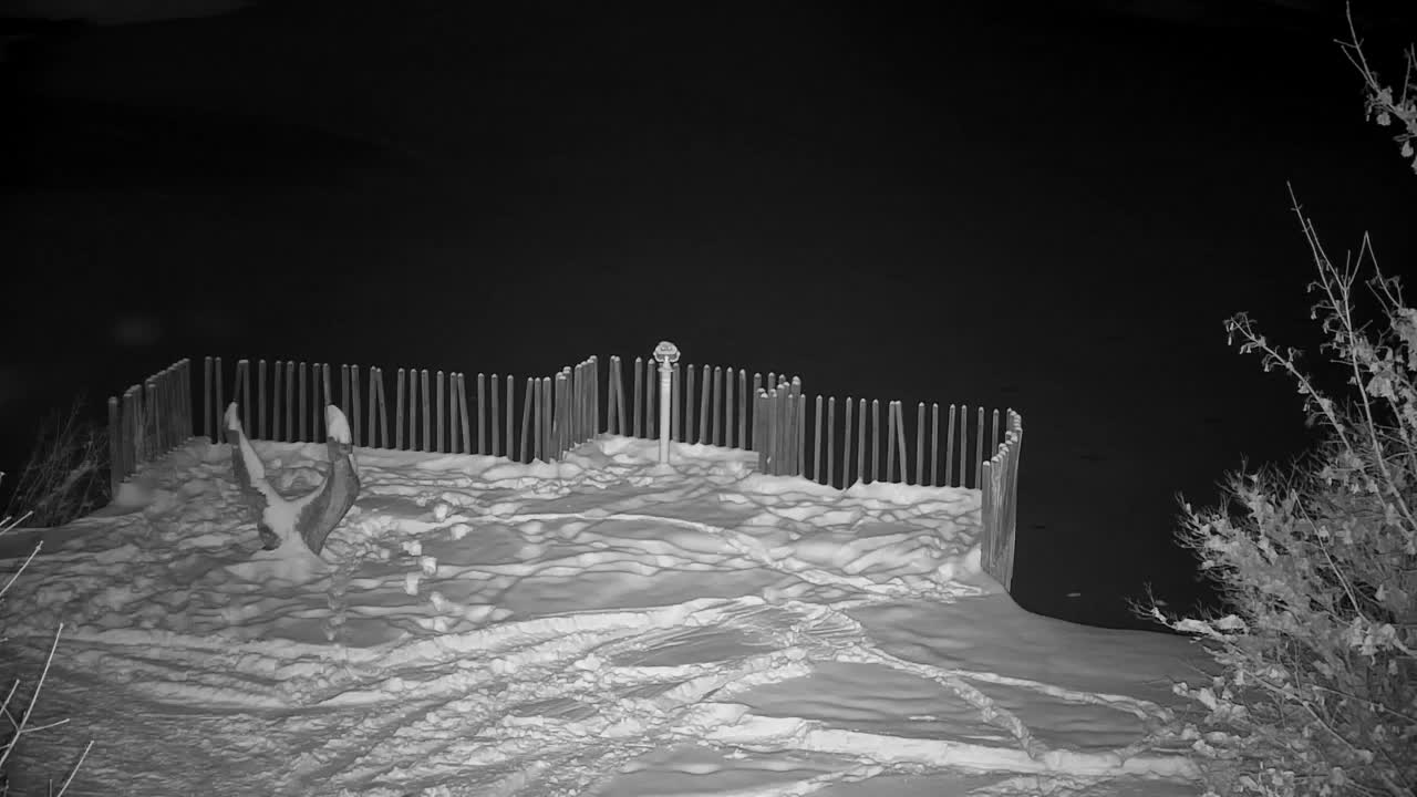 Webcam Ribnik Vrbje – Žalec