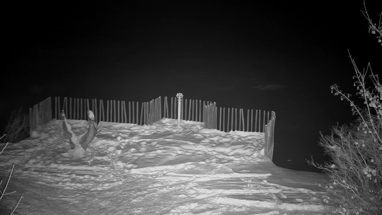 Webcam Ribnik Vrbje – Žalec