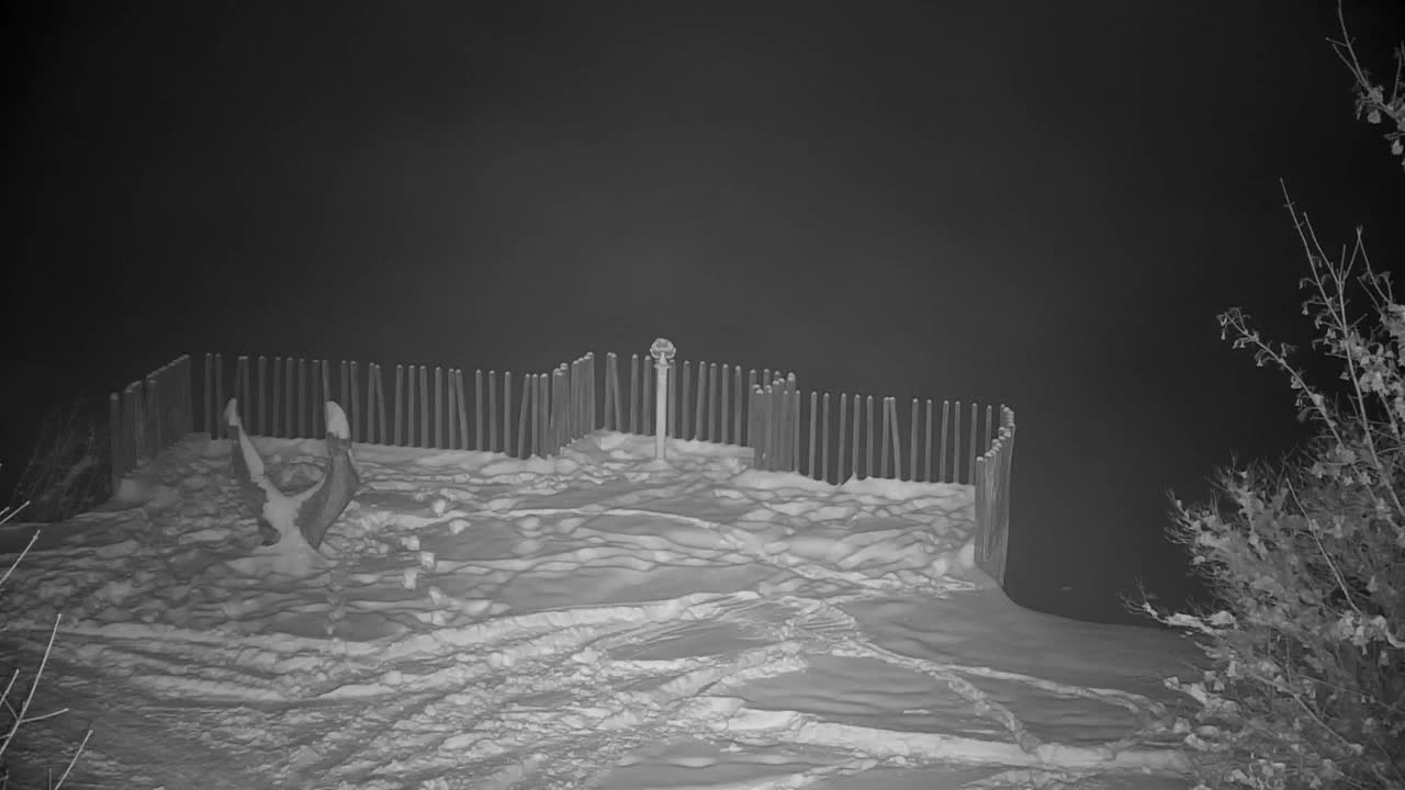 Webcam Ribnik Vrbje – Žalec