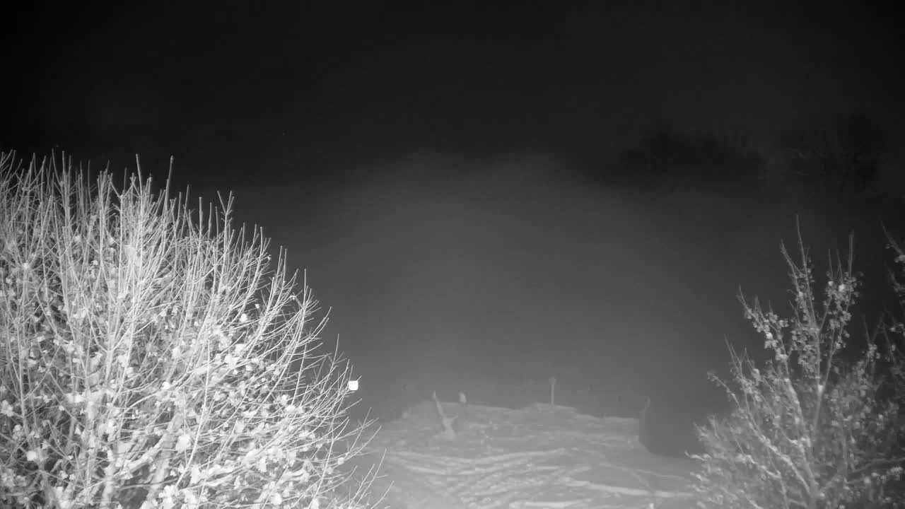 Webcam Ribnik Vrbje – Žalec