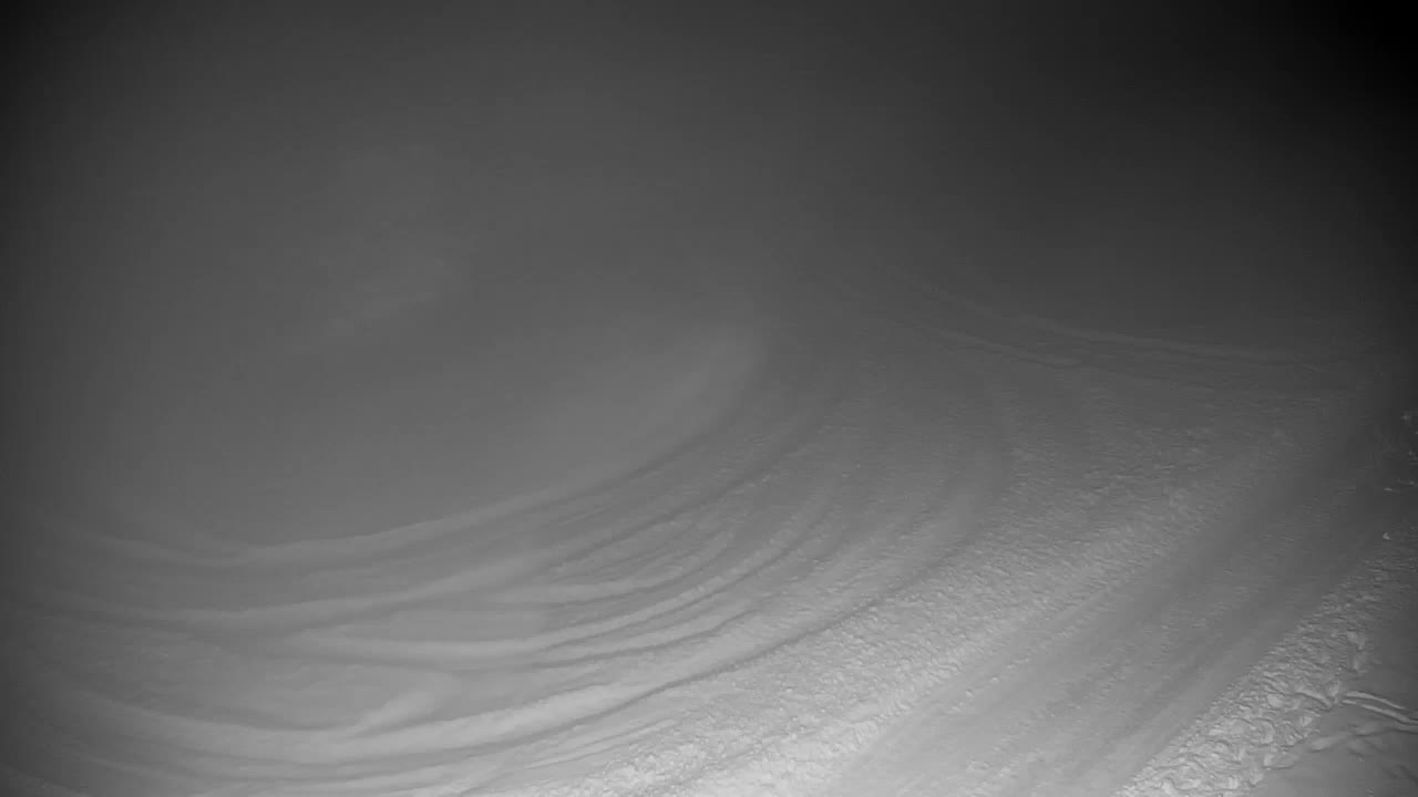 Webcam Ribnik Vrbje – Žalec